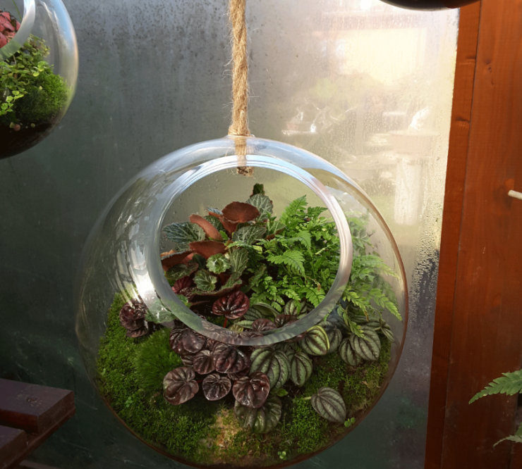 Gallery Biosfera da interno grande 2 - biosfera-da-interno-grande-1.png