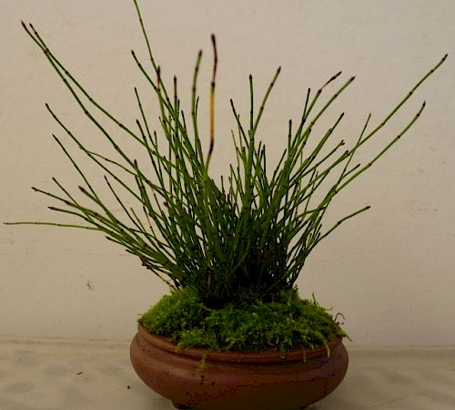 Gallery Esempio 20 - esempio-20-2.jpg