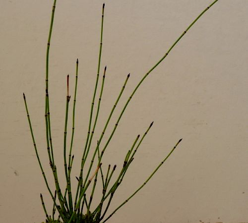 Gallery Esempio 20 - esempio-20.jpg