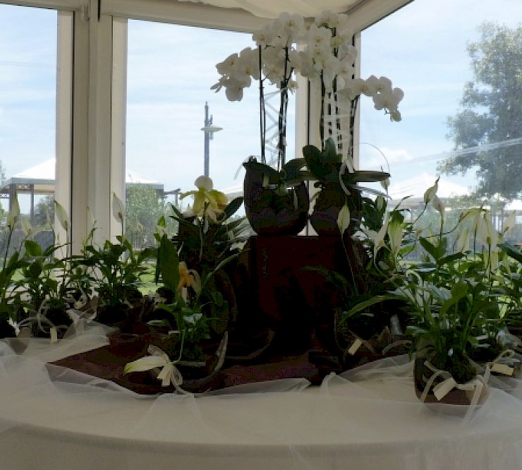 Gallery Allestimento matrimonio - allestimento-matrimonio.jpg