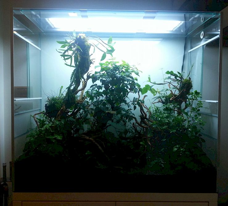 Gallery Plantarium - plantarium.jpg